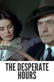 The Desperate Hours 1955 First Early Colored Films Version