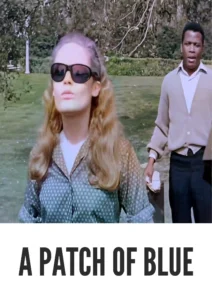 A Patch of Blue 1965 Colorized