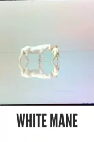 White Mane 1953 Colorized