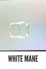 Download White Mane (1953) Colorized HD | Alain Emery | Poetic Coming-of-Age Drama