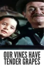 Download Our Vines Have Tender Grapes (1945) Colorized HD | Edward G. Robinson | Sentimental Classic