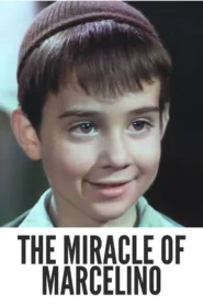 Download The Miracle of Marcelino (1955) Colorized HD | Pablito Calvo | Heartwarming Religious Drama