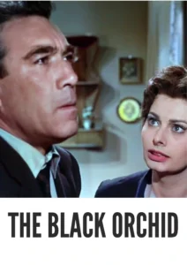 Download The Black Orchid (1959) Colorized HD | Sophia Loren | Romantic Drama Classic